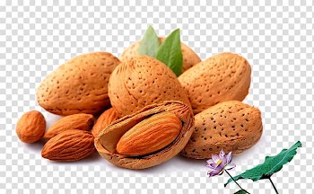 Almond Stuffing Nut Dried fruit, Batan Wood nuts transparent background PNG clipart