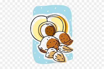 Almonds, Nuts Royalty Free Vector Clip Art Illustration - Food