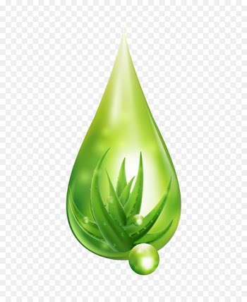 Aloe - Aloe PNG in water drops 