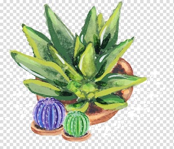 Aloe vera Euclidean Vecteur Cactaceae, cactus transparent background PNG clipart