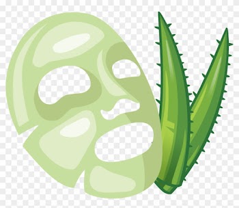 Aloe Vera Euclidean Vector Facial - Aloe Vera Euclidean Vector Facial