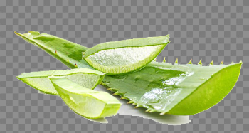 Aloe Vera Gel PNG Photo