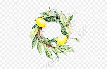 Aloe Vera, Lemon, Food, Plant, Yellow PNG