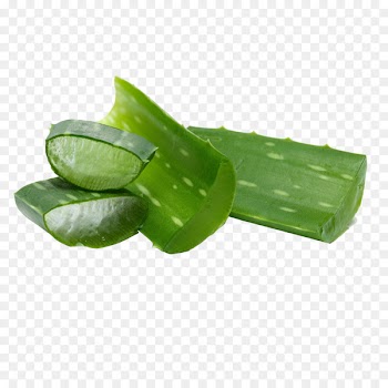 Aloe vera Lotion Cream Gel Skin - delicious aloe vera gel 