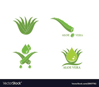 Aloevera logo icon design vector image