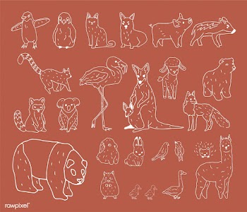 Alpaca animals bear | Free stock vector - 463991