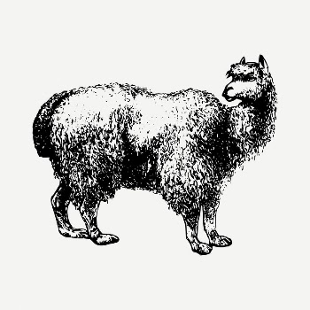 Alpaca clipart illustration psd. Free | Free PSD - rawpixel