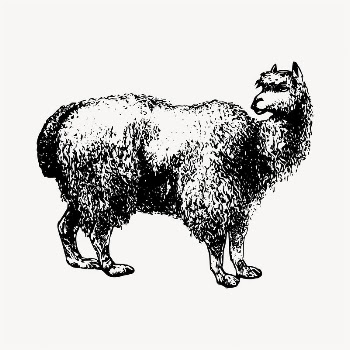Alpaca illustration clipart vector. Free | Free Vector - rawpixel