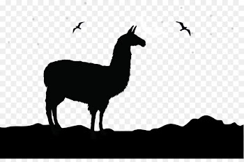 Alpaca Llama Logo Clip art - Vector camel silhouette illustration 