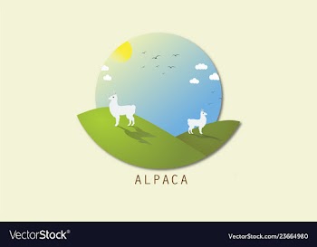 Alpacadraba vector image