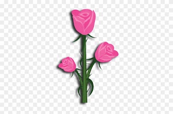 Alpha Gamma Rho Flower Pink Rose - Rose