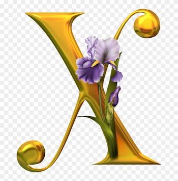 Alpha Iris - Alphabet