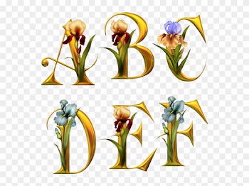 Alphabet Fleurs - Tube Alphabet