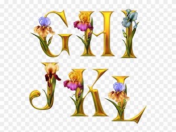 Alphabet Fleurs - Tube Alphabet