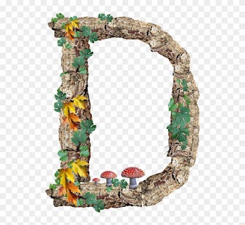 Alphabet, Letter, Rustic, Timber, Bark - Arch