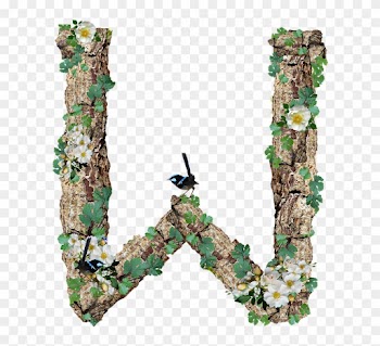 Alphabet, Letter, W, Rustic, Timber, Bark - Alphabet, Letter, W, Rustic, Timber, Bark