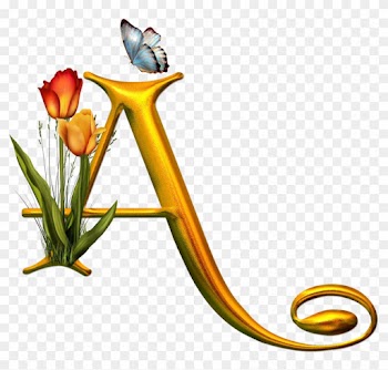 Alphabet Letters - Lettere Png