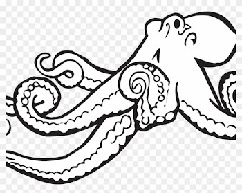Alphabet O Is For Octopus Coloring Page Free Printable - Realistic Octopus Coloring Page