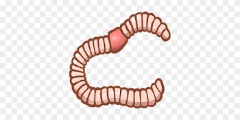 Alphabet Wortbilder Tier Wurm Wurm Wurm Wu - Worm