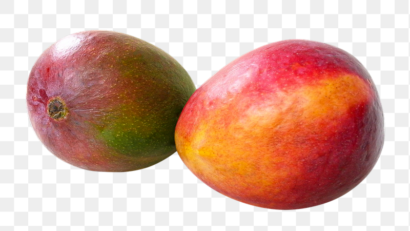 Alphonso mango fruit png sticker, | Free PNG - rawpixel