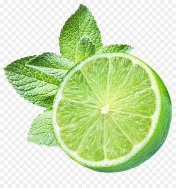 Alternative Health Services Home remedy Traditional medicine Cure - Lemon Mint 