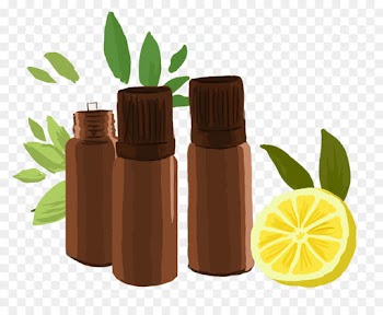 Alternative Health Services, Medicine, Plant, Leaf PNG