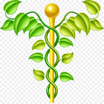 Alternative Health Services Medicine Therapy Health professional - health 