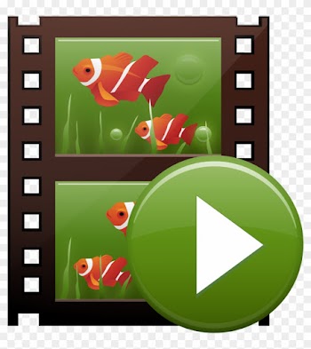 Although Document Cameras Are Easy To Use, It Is Rare - Filmstrip