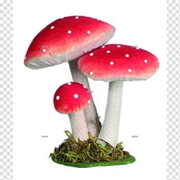Amanita muscaria Fungus Agaric Yellow Mushroom, mushroom transparent background PNG clipart