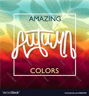 Amazing autumn colors vector image