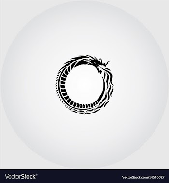 Amazingly circular black dragon vector image