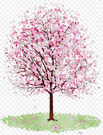 Amazon.com Cherry blossom Amazon Kindle Fire HDX 7 Olak Alen -  
