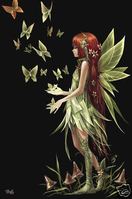Amazon.com: FAIRIES POSTER Spirit Fairy RARE HOT NEW 24X36: Fairy ...