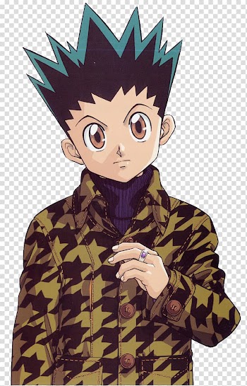Amazon.com Hunter × Hunter DVD Original video animation Anime, sai gon transparent background PNG clipart