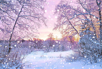 Amazon.com : Kate 7x5ft Winter Photography Backdrop Christmas Snow ...