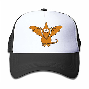 Amazon.com: Mesh Baseball Caps Sun Hats Kids Cap Flying Dinosaur ...