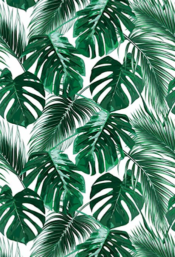 Amazon.com : Muzi Tropical palm summer party Photography Backdrops ...