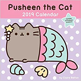 Amazon.com: Pusheen the Cat 2019 Wall Calendar (9781449491918 ...
