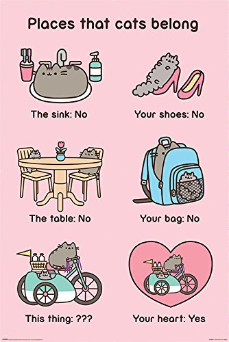Amazon.com: Pusheen The Cat - Poster / Print (Places That Cats ...