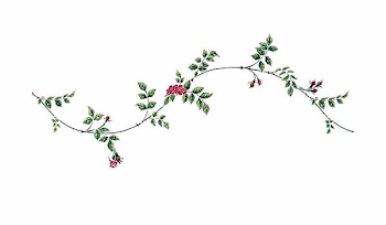 Amazon.com: The Mad Stencilist Climbing Rose Vine Border Wall ...
