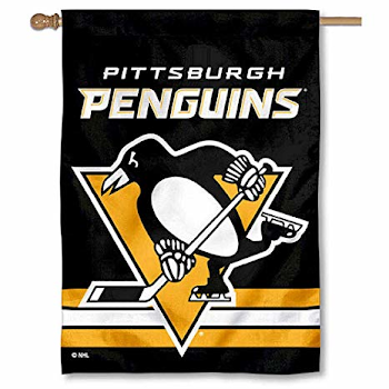 Amazon.com : Wincraft Pittsburgh Penguins Two Sided House Flag ...