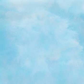 Amazon.com : Yeele 7x7ft Solid Color Blurry Light Blue Background ...