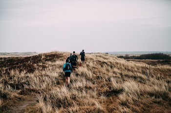 Ameland, Netherlands. Original public domain | Free Photo - rawpixel