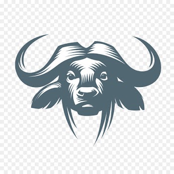 American bison Water buffalo Cattle African buffalo Drawing - Bull Head 
