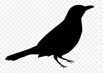 American crow American Sparrows Beak Fauna Silhouette -  