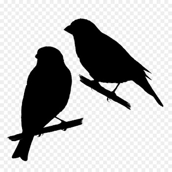 American crow American Sparrows Beak Fauna Silhouette -  