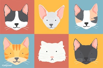 American curl animal bengal | Free stock vector - 60505