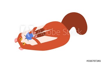 American curl cat breed flat vector illustration