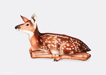 American Deer illustration | Free stock vector - 457947
