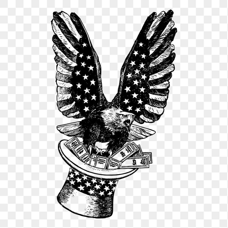 American eagle bird png sticker, | Free PNG - rawpixel